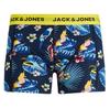 Jack & Jones Flower Bird боксеры 3 шт.