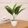 Useful Artificial Green Plant No Water Need Eco-friendly Decorative