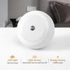 Intelligent Light Control Induction Light, Small Night Light, White Light, Blue Light, Red Light, Warm Light, Amber Light, Smart Home