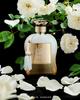 Paris corner Rua extrait EDP 100 ml unisex eau de parfum