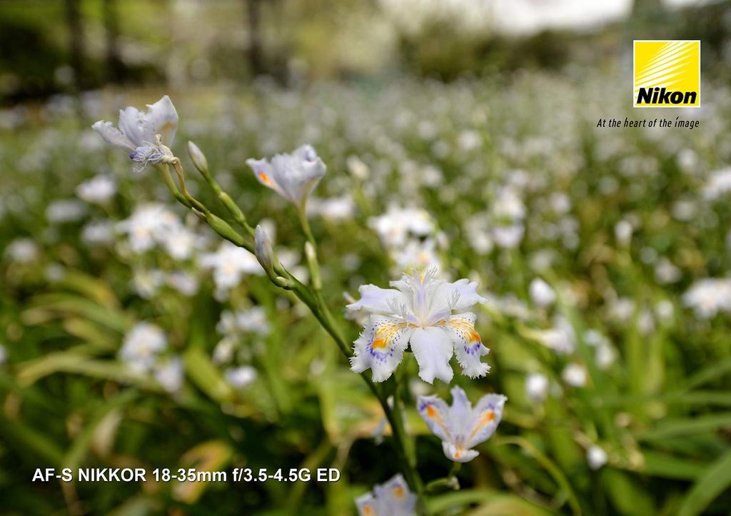 Nikon Сверхширокоугольный зум-объектив NIKKOR ED, совместимый с полноразмерными объективами AF-S 18–35 мм f/3,5–4,5G