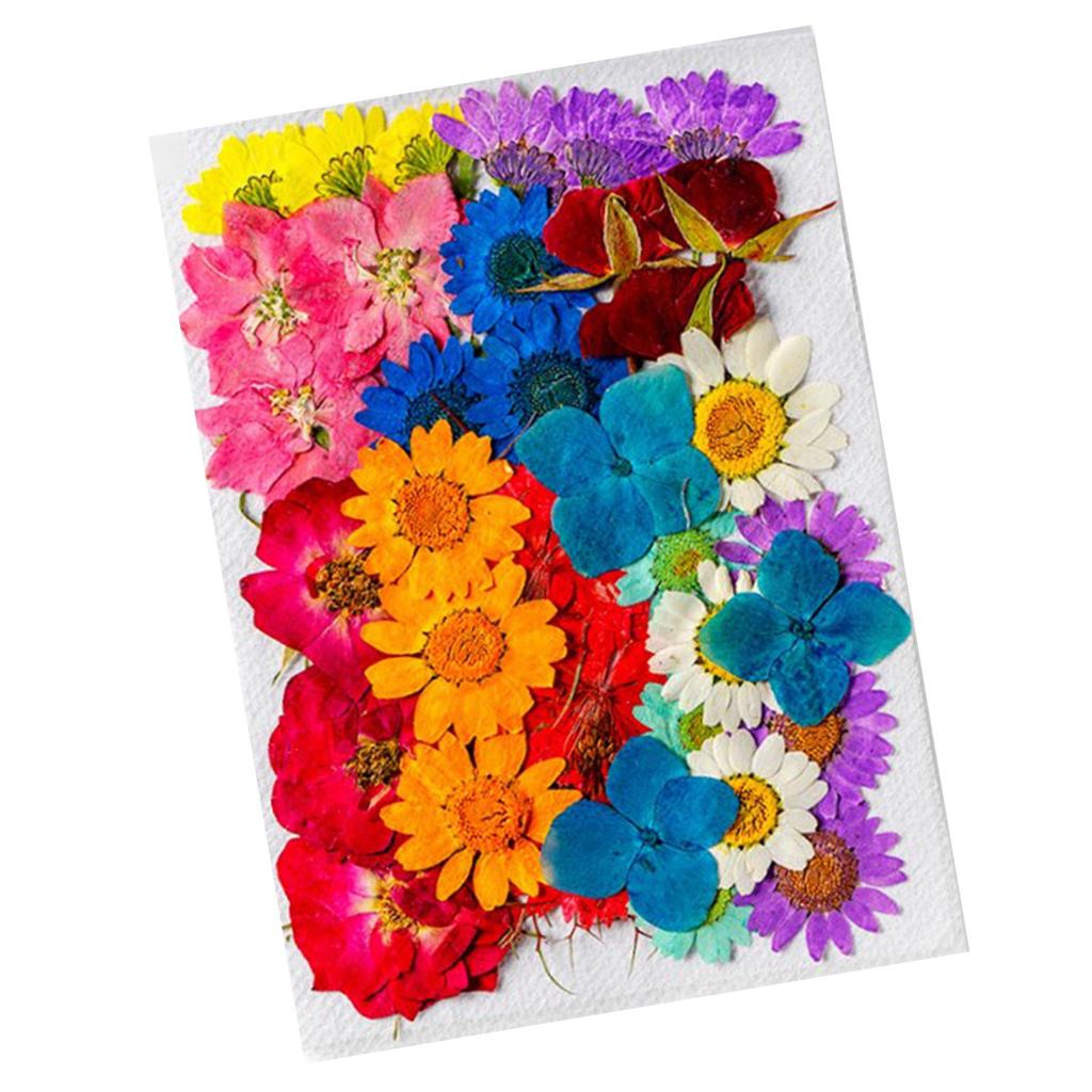 36 шт. Сушеные цветы в ассортименте стилей и цветов, натуральный материал, многоцелевые головки сушеных цветов для