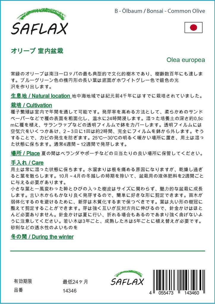 SAFLAX Garden in the Bag - Бонсай - Олива обыкновенная - 20 семян - С субстратом в подходящем пакете - Olea europea