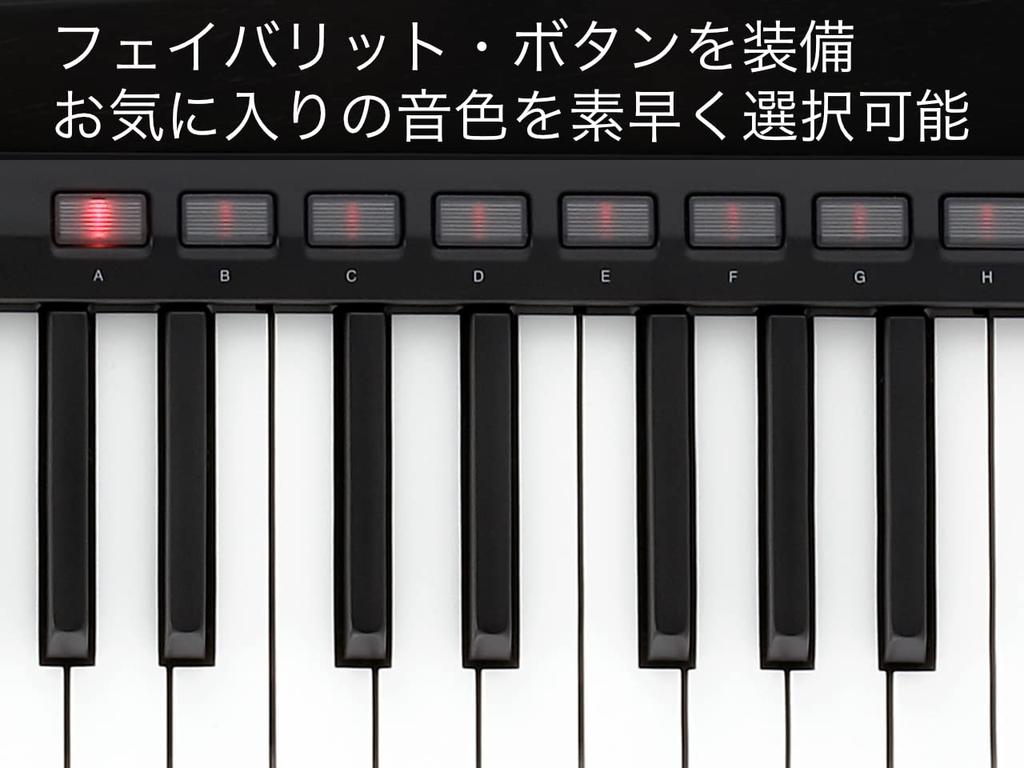 KORG Keytar Synthesizer Stage Keyboard Battery Powered 2BK Translucent Black RK-100S