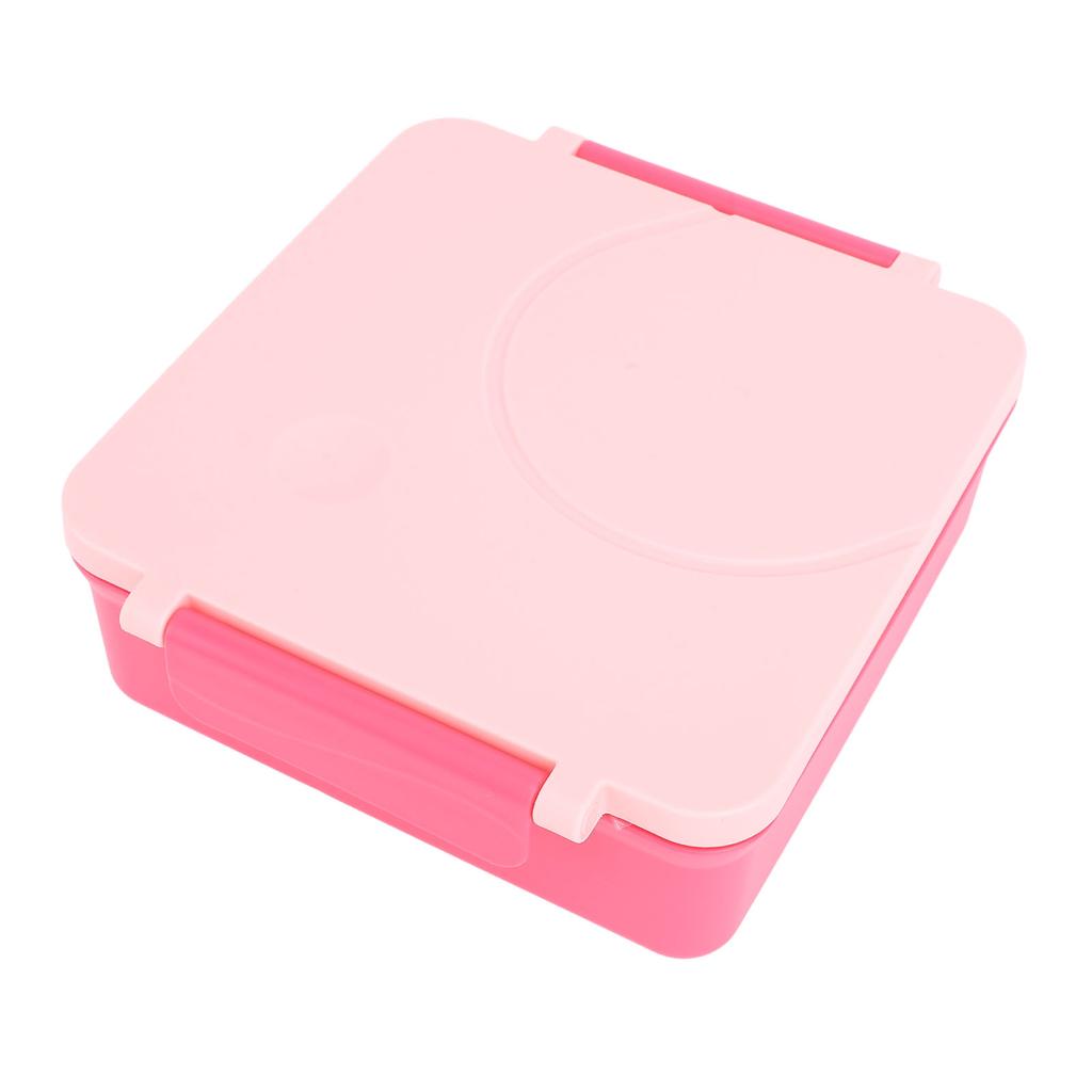 Lunch Container with Handle Sealed Multi Compartments Dishwasher Safe Lunch Box Container for Office School Roseate