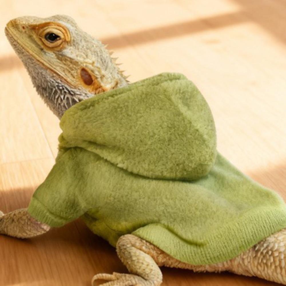 Warm Reptile Hoodies Handmade Bearded Dragon Hoodies Cute Lizards Clothes Photo Outfit