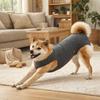 Comfortable Dog Sterilization Suit Elastic Cat Jumpsuit Cat Weaning Suit  Travel Use