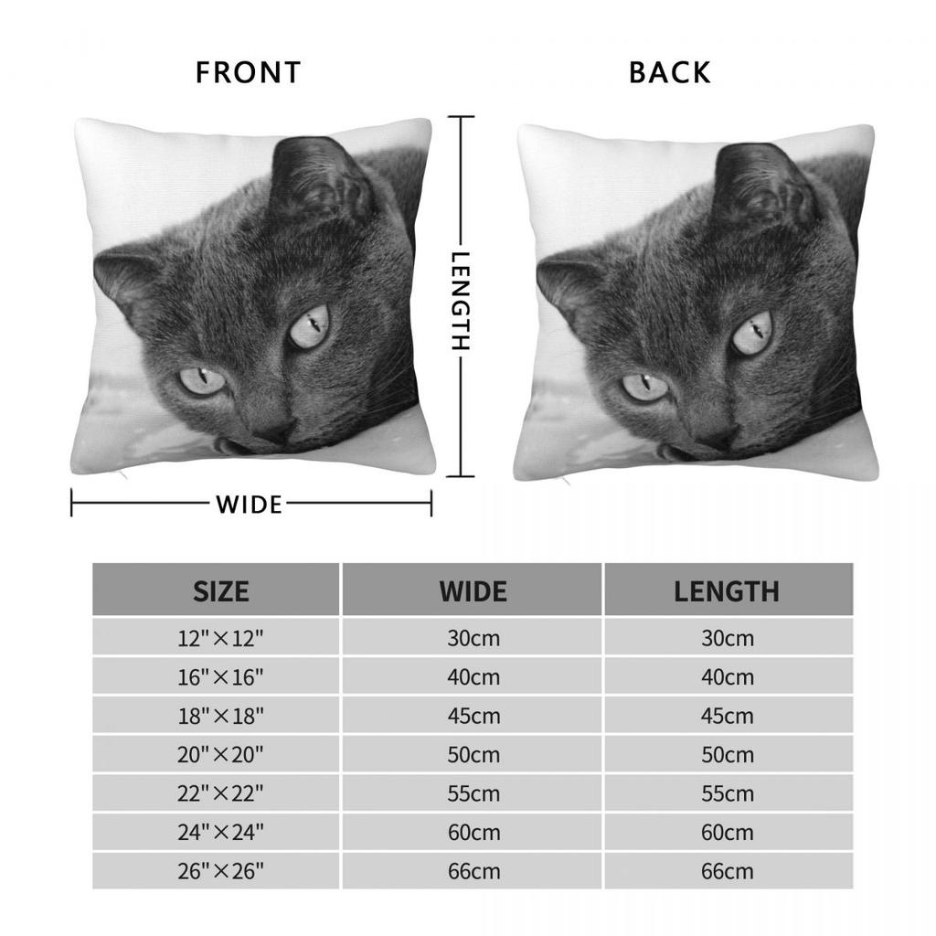 Russian Blue Cats Eyes Pillowcase Polyester Linen Velvet Printed Zip Decorative Throw Pillow Case Home Cushion 45X45