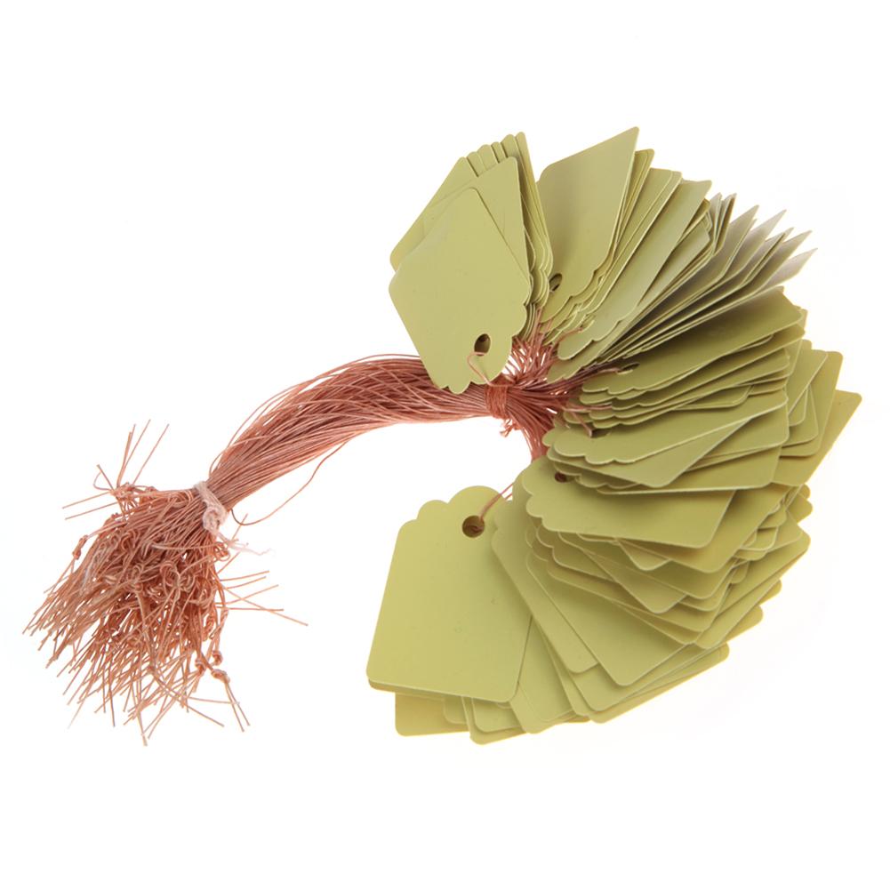 100pcs Garden Plant Labels PVC Nursery Garden Labels Hanging Plant Markers DIY Seedlings Labels for Plants Garden