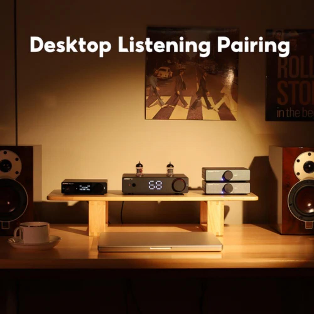 Power amplifier aiyima T20