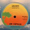 7-дюймовая пластинка JIM CAPALDI - Love Hurts WIP6246 Island Records 1975 UK Rock Б/у