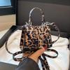 Mini Leopard Square Bag for Women Small Travel Bag Designer Crossbody Bag with Short Strap Fashion