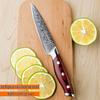 5-дюймовый универсальный нож VG10 Кухонный нож из дамасской стали 67-слойный японский нож из дамасской стали