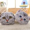 Crystal Velvet Pillow, Sofa Cushion, Removable Washable Pillow, Cartoon Simulation Cute Kitten Pillow, Plush Velvet Pillow,Sofa Decoration