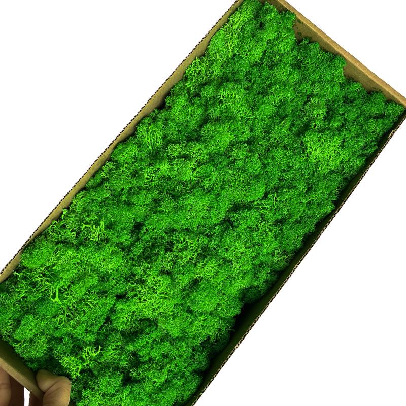 Preserved Flower & Moss Wall Decoration Kit: Flower Gift Box Materials