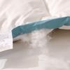 You Meng Jia Ju Warm Feather Silk Duvet