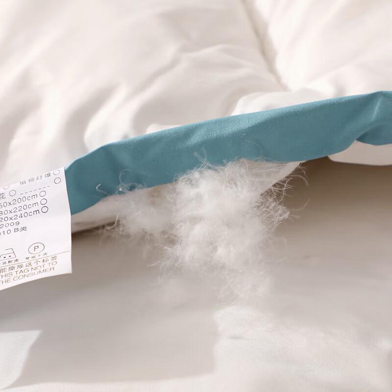 You Meng Jia Ju Warm Feather Silk Duvet