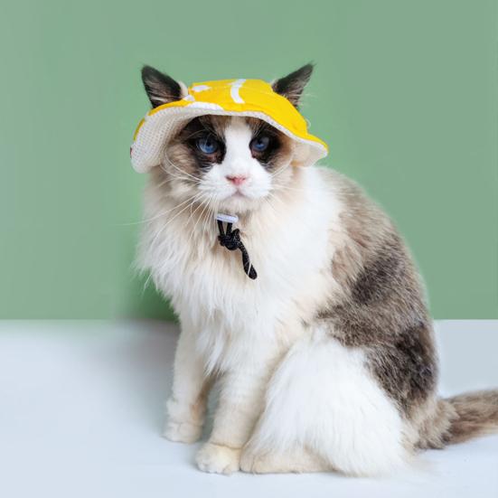 Шапка для домашних животных с отверстиями для ушей Мягкая дышащая шапка для кошек с регулируемым ремешком Летняя уличная шапка