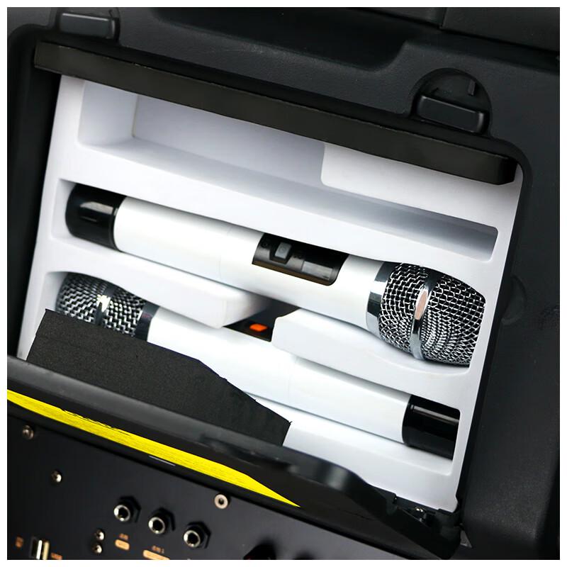 Malata M+9052C 15-inch Outdoor Trolley Speaker