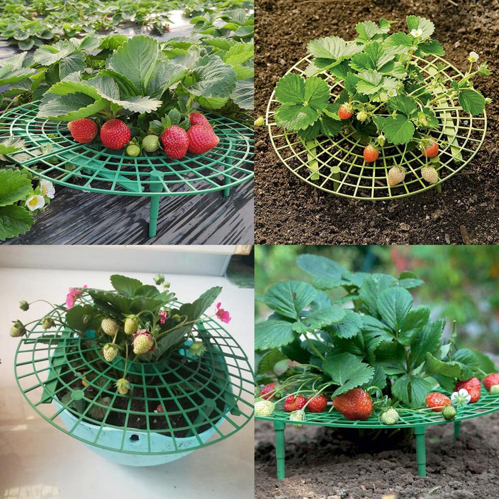 Strawberry Plant Stand Plastic Strawberry Stand Balcony Grow Vegetables Fruit Climbing Pillar Gardening Bracket Plant Stand 1Set