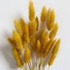 60 шт. Натуральный букет из сухоцветов «Хвост кролика», декор для свадебной вечеринки, пушистая пампасовая трава, рождественская DIY цветочная композиция