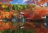 1000 Piece Jigsaw Puzzle Daigoji Temple with Autumn Leaves (49x72cm)