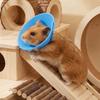 Adjustable Anti Licking Collar Anti-Bite Protective Collar  for Bird Hamster Rabbit