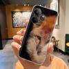 Чехол для Realme GT 6 Цветной Рисованный Чехол Мягкий Силиконовый Чехол для Телефона Для Realmi GT 6T RealmeGT6 GT6T Чехол Прозрачный Funda Сумки