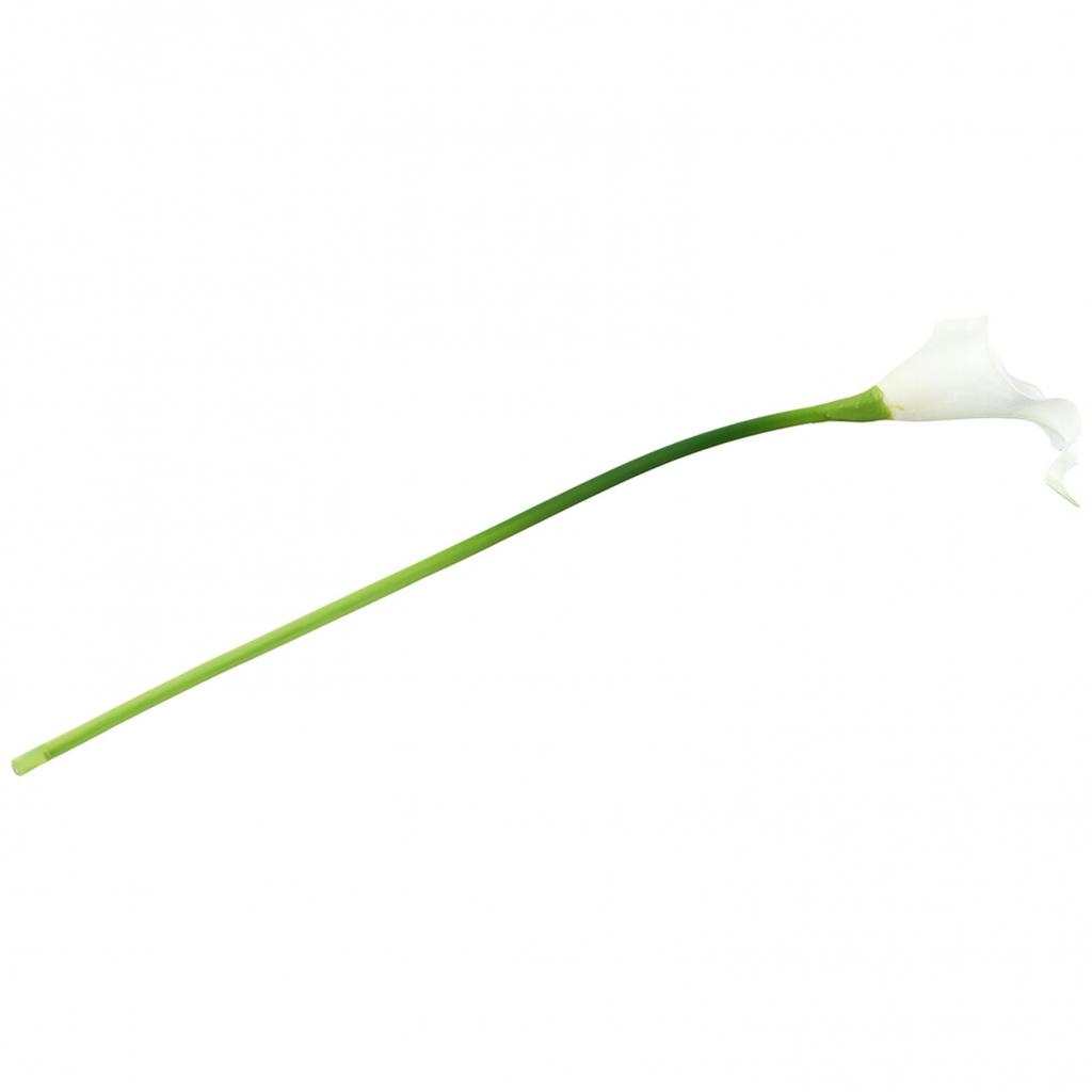 Фотография Искусственный цветок Моющийся Рождественское украшение В помещении На открытом воздухе