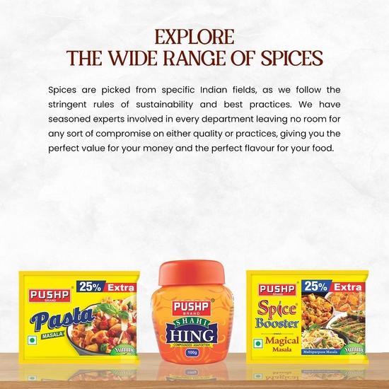 Мешочек Pushp Brand Jeeravan или Indori Poha Masala (100 г упаковка 10 шт.)