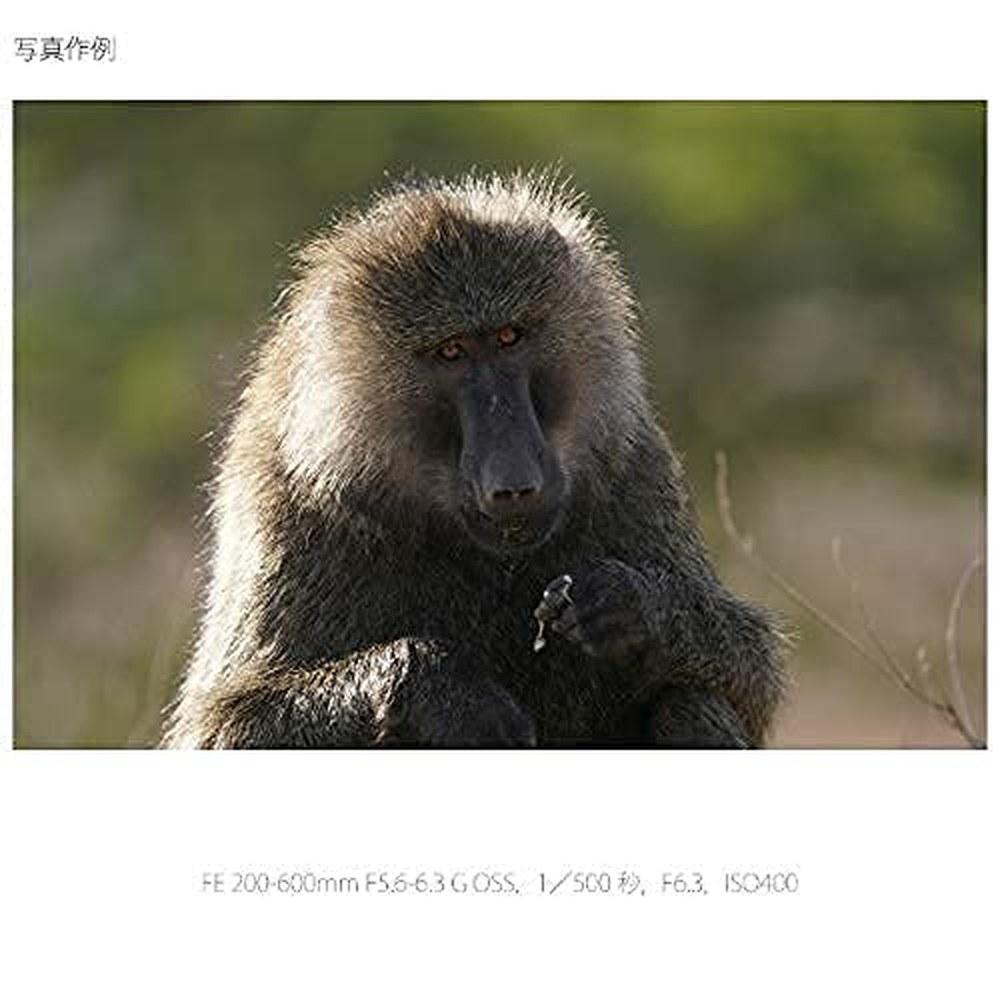 Sony Объектив G Super Телефото Зум FE 200-600mm F5.6-6.3 OSS для Полнокадровых Зеркальных Камер SEL200600G