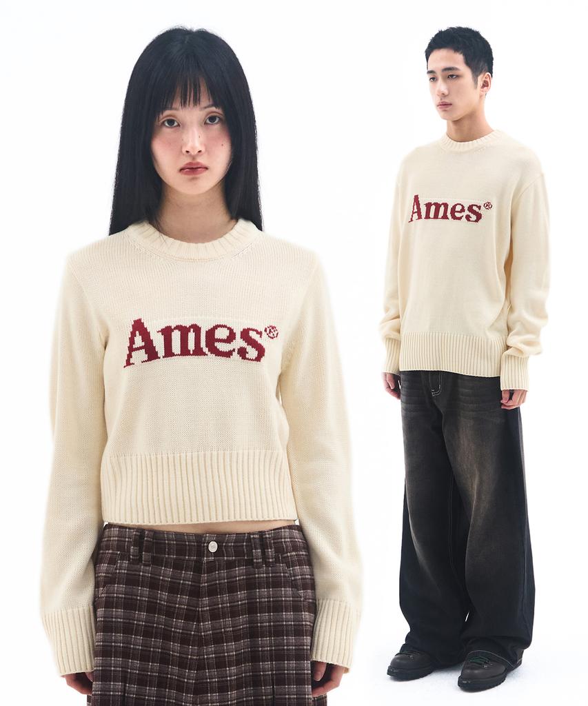 AMES-WORLDWIDE Basic Pullover Knit Ivory