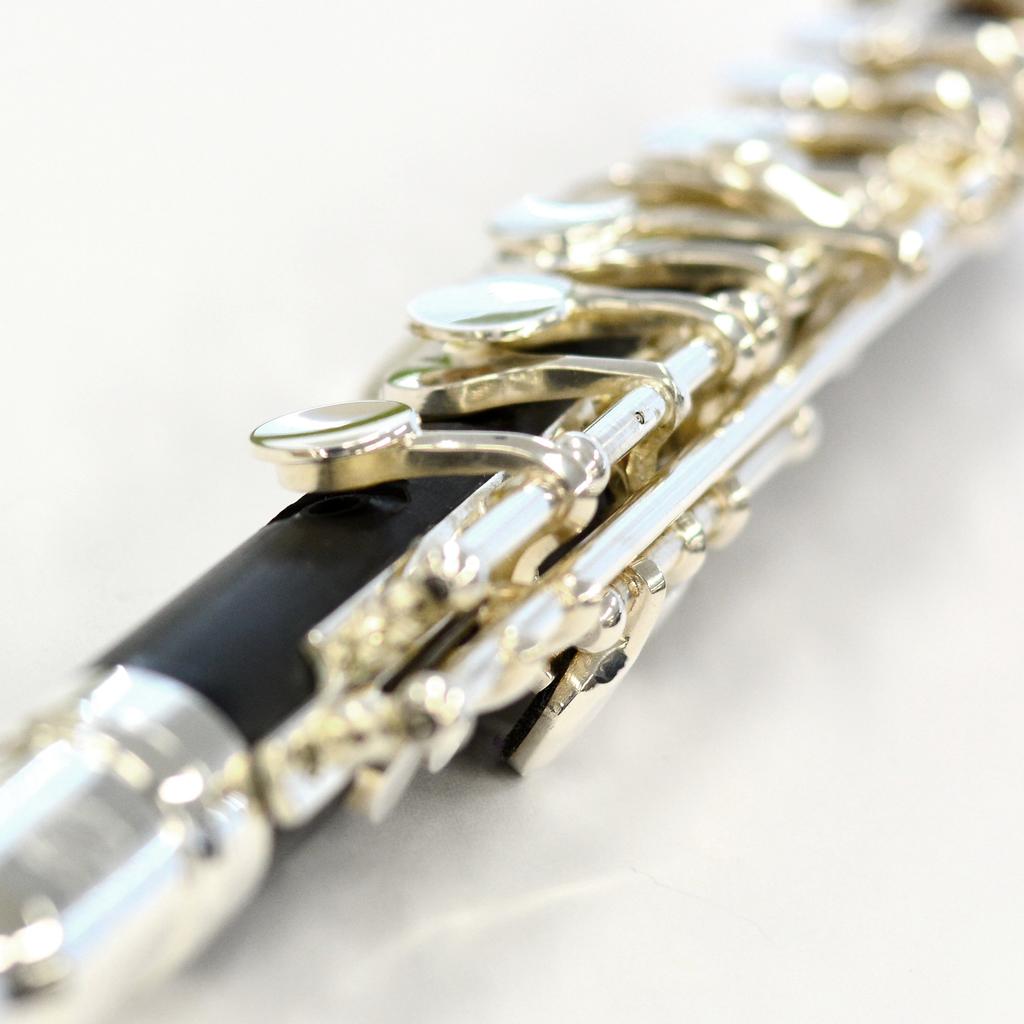 Kaerntner Piccolo Silver Semi-Hard Case KPC-320