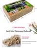 Custom Dried Sphagnum Moss for Orchids & Carnivorous Plants