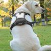 Dog Harness Nameplate Vest Adjustable Training Vest Pet Strong Training Walking Swimming Hiking Nameplate