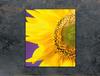 GLASS CUTTING BOARD 45x52 Flower