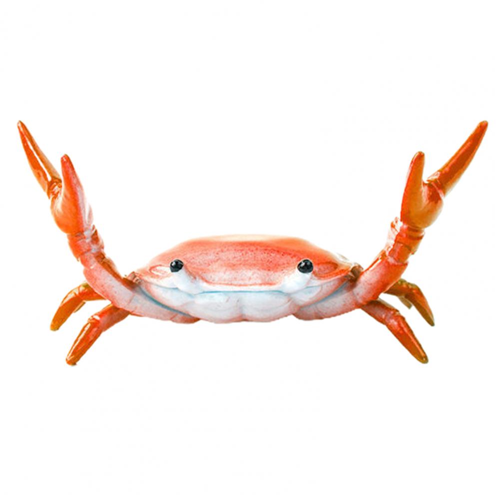 Легко держать, полезный держатель для крабовой ручки для тяжелой атлетики, яркий цветной держатель для крабовой ручки, имитация для студентов