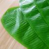 1Pcs Simulation Artificial Banana Leaf Heat Resistant Kitchen Placemats  Party Wedding Decoration