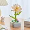64 Styles Rose Flower Building Block Flower Eternal Bouquet Prickly Pear Model Plant Decoration Educational Toy For Kids Gift