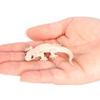 Animal Figurines Figure Animal Toys Gecko Prank Props Lizards Action Model  Classic