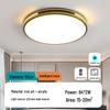2025 Modern Minimalist LED Ceiling Light for Bedroom, Living Room, and Hall