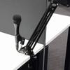 Platinum Flexible Desk Mic Stand Black MPC1