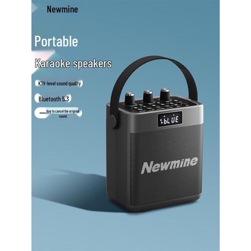 Newmine K519 Portable Bluetooth Karaoke Speaker
