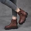 Fashion New Winter Women's Ankle Boots Autumn Women's Plush Shoes Thick Short Boots Cool Motorcycle Boots