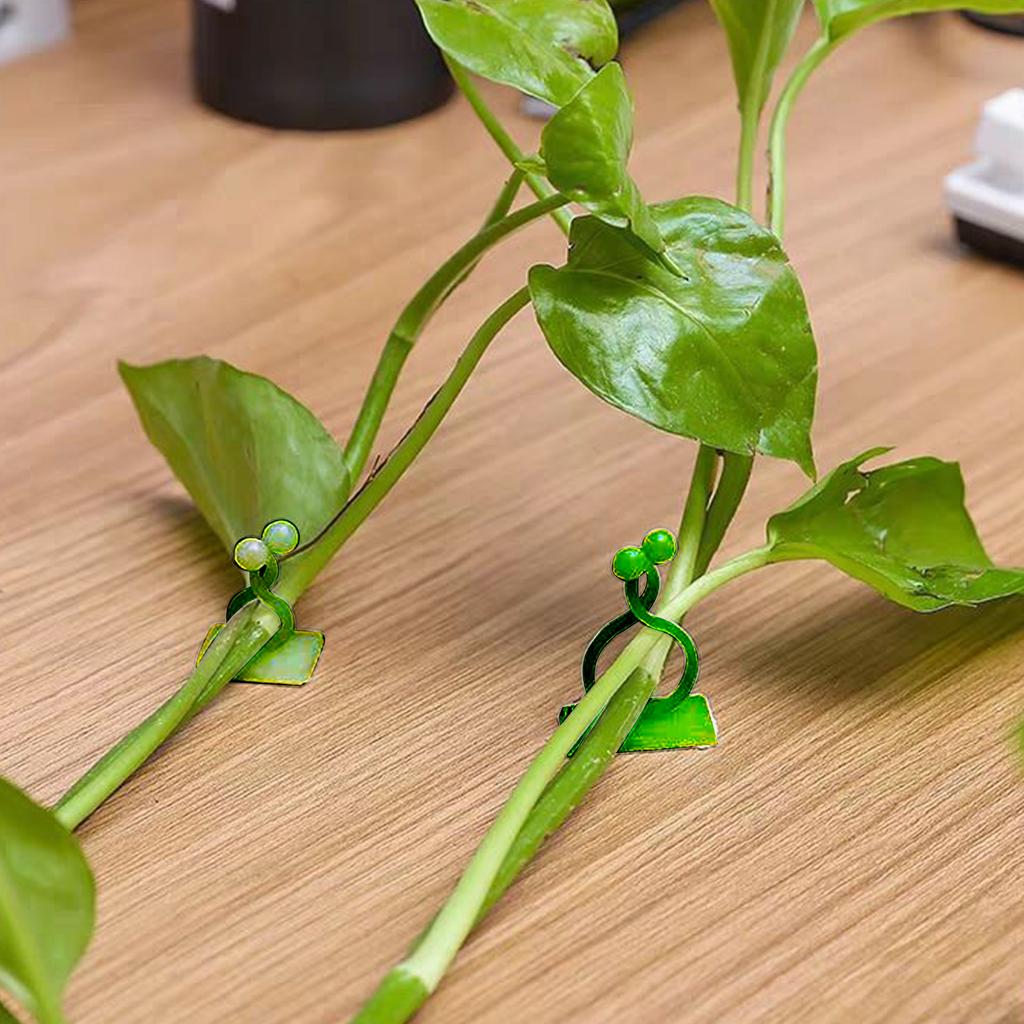 50-10PCS Plant Climbing Wall Self-Adhesive Fixed Buckle Hook Fastener Tied Fixture Buckle Garden Plant Wall Climbing Vine Clips