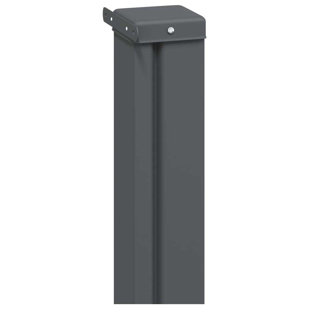 Retractable Side Awning Anthracite 300 x 100 cm Polyester