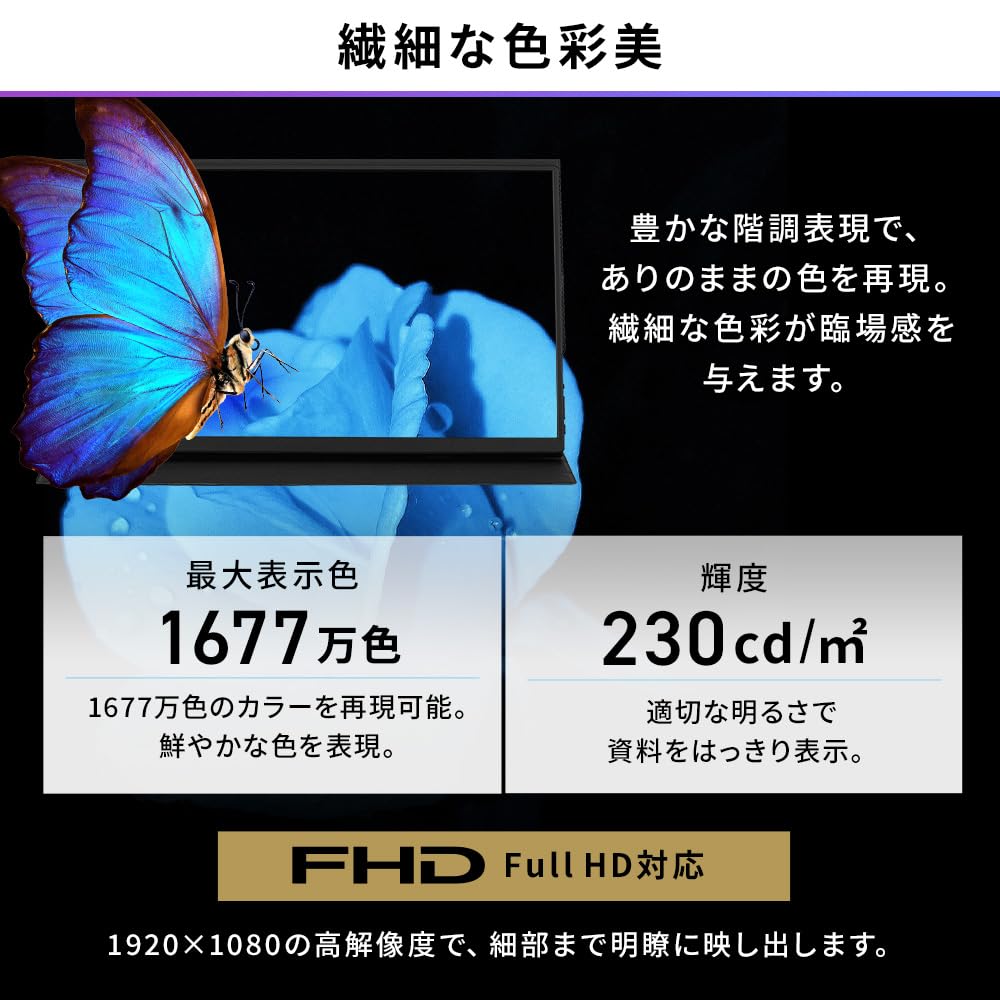 IRIS OHYAMA Portable Monitor 15.6inch FHD Slim Design Compact Mobile Monitor Matte 60Hz DP-EF164S-B Black