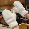 Winter Thicken Plush Outdoor Fluffy Gloves Soft Full Finger Gloves Women Warm Fur Fuzzy Mittens Cold Protection Velvet Lining Mittens