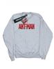 Boys Ant-Man Movie Logo Sweatshirt