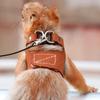 Yousheng Bearded Dragon Harness And Leash Set Adjustable Lizard Harness with Nylon Rope Small Animal Traction Rope Accessories for Bearded Dragon